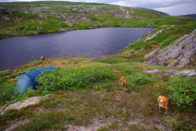 post-9370-0-86987400-1372610183_thumb.jp