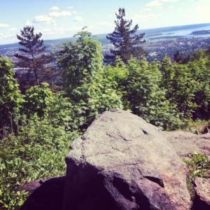 post-9775-0-08579700-1371587099_thumb.jp