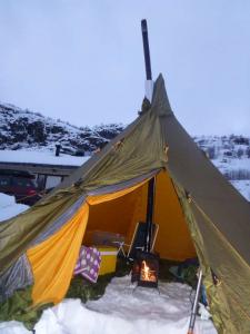 post-9865-0-12554600-1371684805_thumb.jp