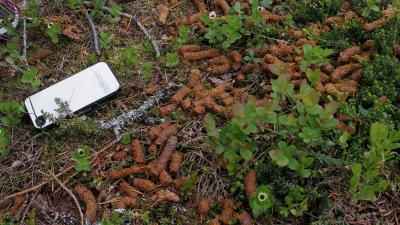 post-10401-0-47184100-1403275887_thumb.j