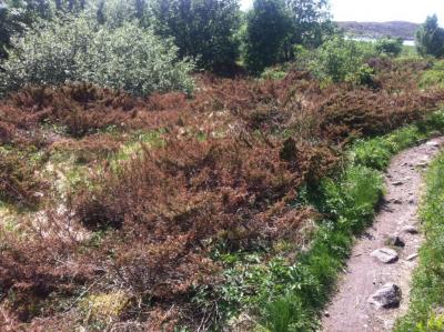 post-10401-0-49209400-1401975067_thumb.j