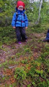 post-10401-0-66773400-1403275999_thumb.j