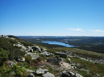 post-10802-0-86706600-1402780506_thumb.j