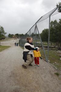 post-11774-0-85094000-1403729243_thumb.j