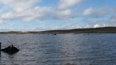 post-11906-0-49761300-1403634540_thumb.j