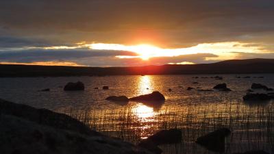 post-11906-0-84522500-1403634208_thumb.j