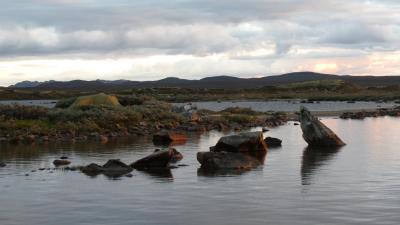 post-11906-0-87773000-1403634206_thumb.j