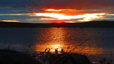 post-11906-0-96854100-1403634210_thumb.j