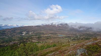 post-12082-0-02072500-1402181312_thumb.j