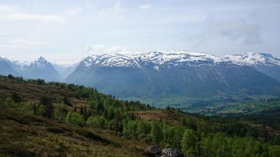 post-12082-0-03586800-1402181337_thumb.j