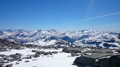 post-12082-0-04125200-1402782533_thumb.j