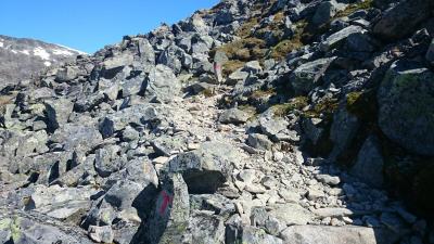 post-12082-0-05735500-1402782241_thumb.j