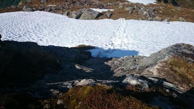 post-12082-0-06338000-1402182489_thumb.j