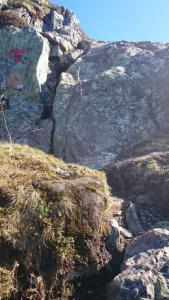 post-12082-0-26487900-1402183179_thumb.j