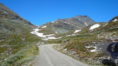 post-12082-0-27115500-1402782890_thumb.j