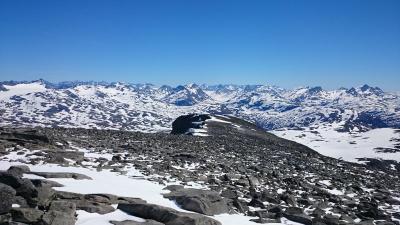 post-12082-0-28018300-1402782680_thumb.j