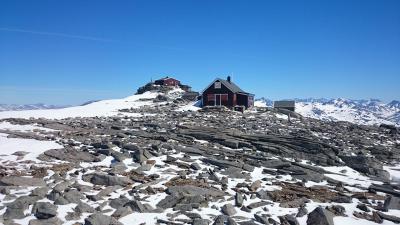 post-12082-0-41153700-1402782501_thumb.j