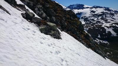 post-12082-0-60127900-1402782817_thumb.j