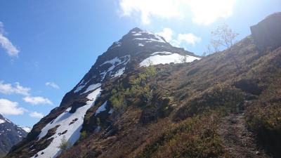 post-12082-0-63905500-1402182228_thumb.j