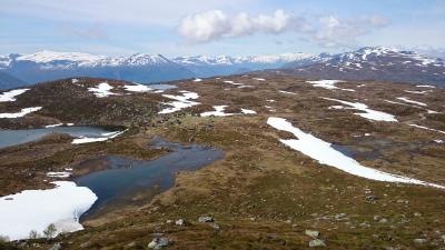 post-12082-0-76704700-1402181505_thumb.j