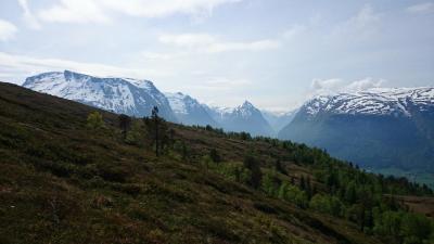 post-12082-0-76868200-1402181355_thumb.j