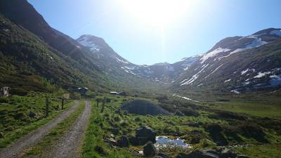 post-12082-0-76925500-1402782005_thumb.j