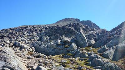 post-12082-0-84656700-1402782282_thumb.j