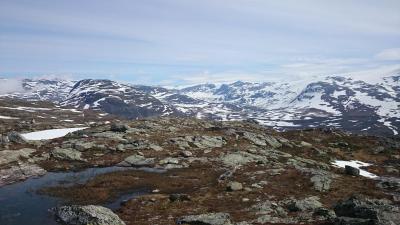 post-12082-0-85523500-1402181601_thumb.j