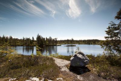 post-12278-0-32783900-1402503649_thumb.j