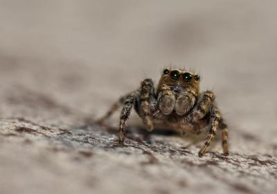 post-12278-0-43516300-1402348540_thumb.j