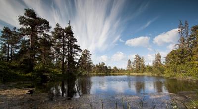 post-12278-0-95108300-1402503634_thumb.j