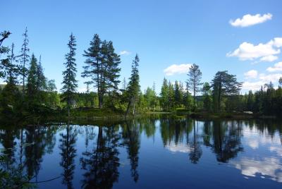 post-12580-0-37099000-1402425566_thumb.j