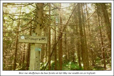 post-12580-0-68416200-1402425561_thumb.j