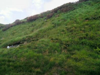 post-12740-0-26820500-1404060676_thumb.j