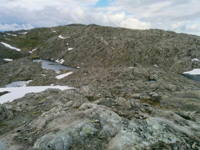 post-12740-0-45760300-1404060738_thumb.j