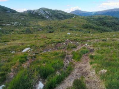 post-12740-0-46891800-1404060743_thumb.j