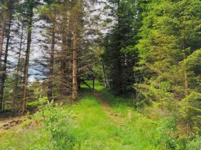 post-12740-0-70349200-1404060668_thumb.j