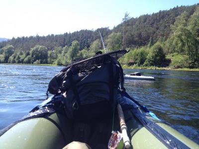 post-13206-0-25538000-1402862286_thumb.j