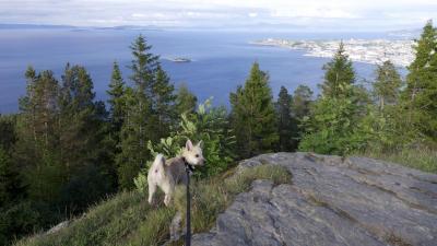 post-13572-0-41832200-1403717672_thumb.j