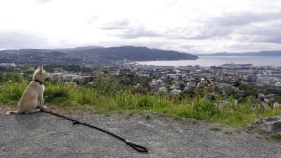 post-13572-0-99814300-1403717670_thumb.j