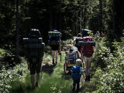 post-14443-0-08005900-1402939897_thumb.j