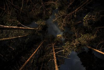 post-14443-0-12040400-1402074174_thumb.j