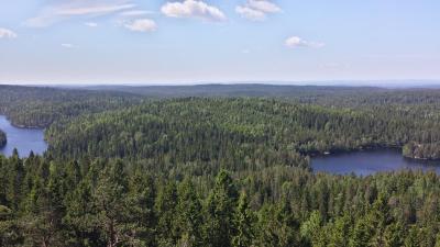 post-14443-0-17580500-1401734025_thumb.j