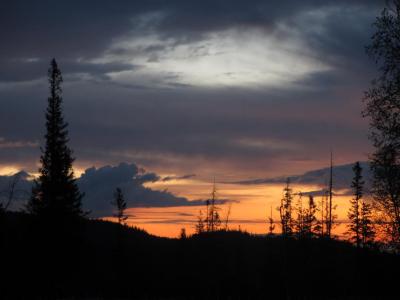 post-14443-0-20401400-1402073854_thumb.j