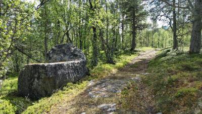 post-14443-0-52975700-1402948616_thumb.j