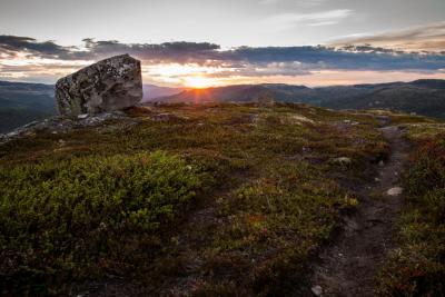 post-14443-0-56856500-1402939799_thumb.j