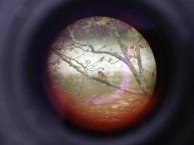 post-14443-0-57860500-1402090097_thumb.j