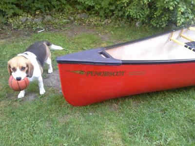 post-14726-0-92761000-1401656644_thumb.j