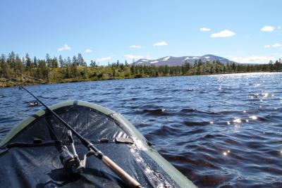 post-4016-0-12583400-1403805337_thumb.jp