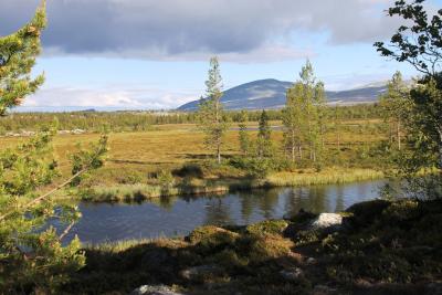 post-4016-0-33230000-1403805308_thumb.jp